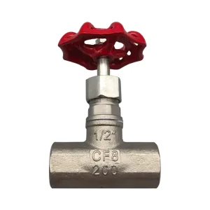 1 2 2 Inch American Standard SS 304 Manual Stop Globe Valve for Water Plumping System OEM