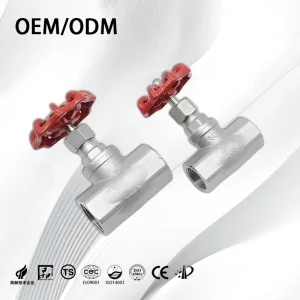 1/2 3/4 1 2 Stainless Steel 304 316 2Way BSP NPT Threaded Globe Valve with Manual Handle