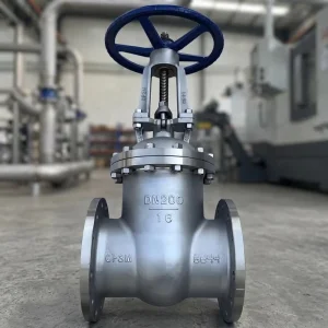 1″/2″/3″/4″/6″ DN25/DN50/DN80/DN100/DN150 SS Gate Valve 316L/304/CF8M/CF3M/2507/904L Class 150-300 NPT/SW