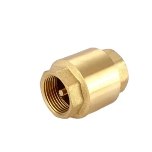 1/2 – 4 Inch Threaded Brass Vertical Spring Check Valve