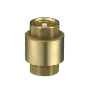 1/2-4 Inch Water Valve Control Vertical Spring Loaded One Way Non Return Check Valve With Plastic ABS or Nylon Holder