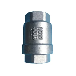 1/2 Inch 201 304 Stainless Steel Vertical Check Valve H12 DN15 Spring Loaded Non Return Soft Seal Water Pump Anti Backflow