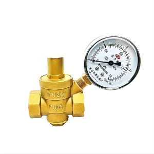 1/2-Inch 3/4-Inch 1-Inch Brass Adjustable Relief Valve with Gauge Water Pressure-Reducing Valve