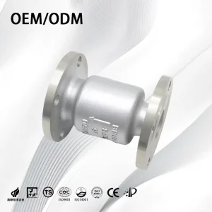 1 2 Inch ANSI 150# Spring Assisted Silent Closure Upwards Flow Pipeline System Stainless Steel Vertical Flange Check Valve