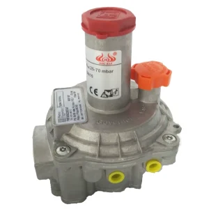 1/2-Inch LPG Gas Pressure Reducing Valve for Furnaces Kilns Boilers and Burners