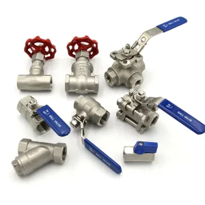 1/2 Inch Stainless Steel Female Globe Valve Gate Valve Needle Valve
