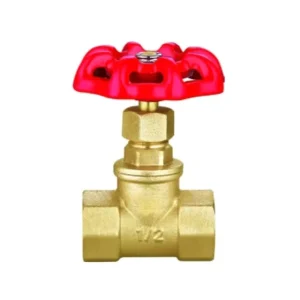 1 2″ Manual Globe Valve Brass Disc Fnpt X Fnpt Connection 10 120 Temperature Range for Water Control Customizable OEM Model