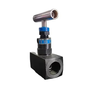 1/2 in BSP Carbon Steel High Pressure Needle Valve Female Thread 6000 PSI Pressure Gauge Globe Valve