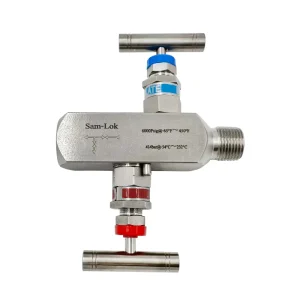 1 2npt Female and Male 6000psi Block and Bleed Pressure Gauge 2 Needle Valve Instrumentation Two Valve Manifold MXF Valve
