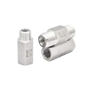1/4 Spring Check Valve Swing Non-Return Piston One-Way Check Valve Stainless Steel 304 Pneumatic Power for Water
