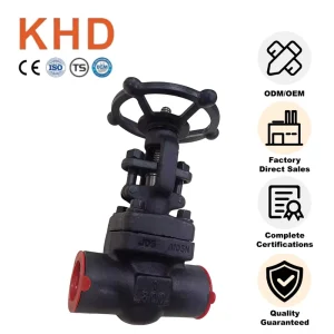 1″ Forged Steel Gate Valve ANSI 300LB 800LB DN25 A105 Manual Power for Water and Oil