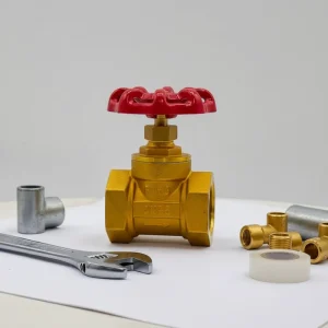 1 Inch Brass Globe Valve High Pressure Manual NPT Connection for Water