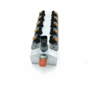 1003650716 Natural Gas Injection Valve Assembly for OH6 Euro VI LNG CNG Engine