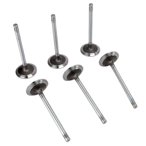 1004 4 1004 4T 1006 60S Engine Valve 3142A051 31431961 31431752 31431951 for Perkins Engine Spare Part for CAT Spares 416B