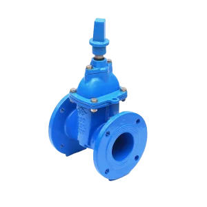 100mm Ductile Iron Small Sluice Resilient Seated Flange Type Gate Valve