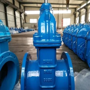 12 Inch DN300 Handwheel Gate Valve