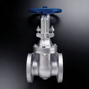 125FCL CIaSS125 PN16 Manual Cast Iron Flange Gate Valve for Water