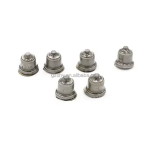 1418522203 2418554027 Fuel Pump Delivery Valve Injector Pump & Parts