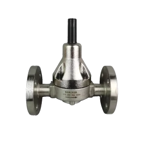 186 B 304 Stainless Steel Safety Valve Metering Pump Water Pressure Relief Back Pressure Valve with Reducing Flange