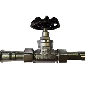 1inch 2 Inch Screwed Manual Water Gate Valve DN15-50 304 Stainless Steel Manual Gate Valve