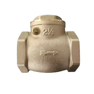 2 1/2″ DN65 Brass Swing Check Valve