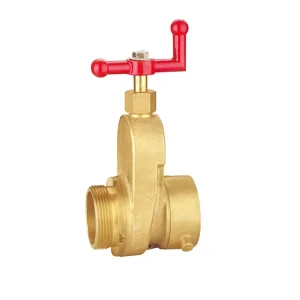 2”-1/2” FXM Hydrant Gate Valve Fire Safety Valve 300PSI Red Painted Iron Handwheel Valve