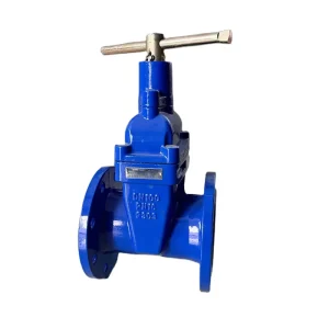 2 Inch-24 Inch Ductile Iron Metal Anti-corrosive Anti-theft Gate Valve