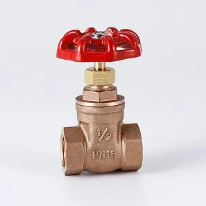 2 Inch Sluice Valve Manual Slide Gate Valve Bronze Gate Valve