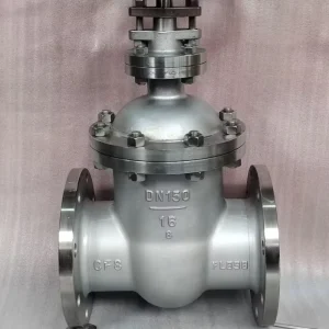 2 Inch Stainless Steel Gate Valve 304 Flanged RF Class 150 Bolted Bonnet for Water Oil Line