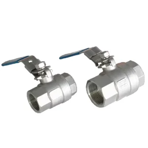 2 PCS Stainless Steel Ball Valve