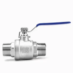 2-Piece Manual Stainless Steel Ball Valves Double External Threads OEM Customizable High Pipeline On-Off Control