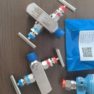 2 Way Valve Instrument Manifold R306 for Pressure Measurement