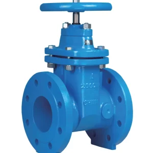 200 CWP Resilient Seat Gate Valve for Water Bolts Bonnet