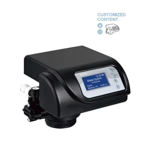 2000 L/h PPO Automatic Control Valve for Water Softener and Water Filter