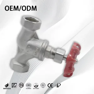 200PSI DN15 DN50 Stainless Steel S Type 304 316 Threaded End Manual Shutoff Globe Valve for Water Control