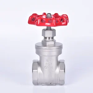 200psi Stainless Steel Gate Valve With Thread End