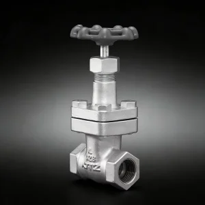 20KSLS JIS 20K Ductile Iron Gate Valve Manual Flanged Ends DN15 DN20 for Water and Oil Applications