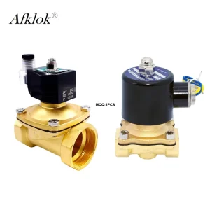 2W Electric Water Switch Valve AC220 110 24V DC24 12Volt Arduino Controlled Water Valve Brass Solenoid Valve Size 1/8″ ~2″