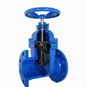 2inch-24inch National Standard Soft Seal Gate Valve with Iron Cover