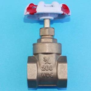 3 4 1 2 Solid Wedge Brass Gate Valve BSP Female Thread