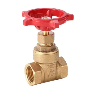 3/4 DN20 Heavy Duty Brass Gate Valve Flange Type Fire Protection Water System Manual Rising Stem
