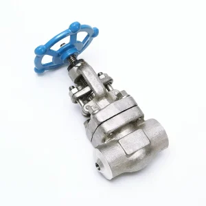 3 4″ DN20 J11W SS304 Stainless Steel Manual High Temperature Globe Valve with Butt Welding