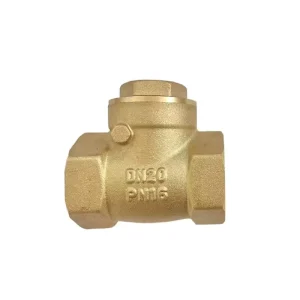 3 4 Inch Brass Swing Check Valve 180g
