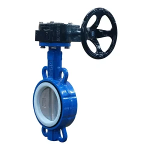 3 Inch 304 Stainless Steel Butterfly Valve PTFE Seat Worm Gear Operated Wafer Disc Valve for Water