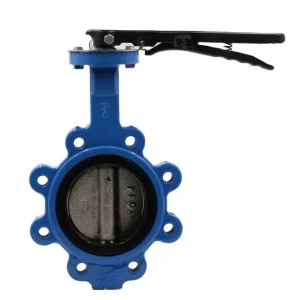 3 Inch Iron Manual Lug Type butterfly Valve Handle butterfly Valve D71 Wafer Type butterfly Valve