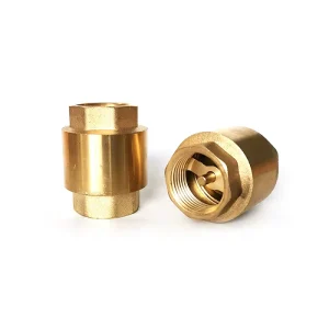 3 Inch NPT Vertical Hydraulic Brass Spring Check Valve for Water System