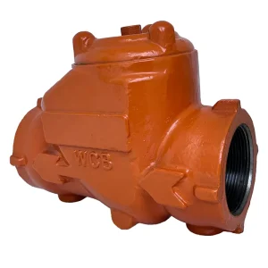 3000 PSI 2 in WCB Threaded End Carbon Steel Manual Swing Check Valves
