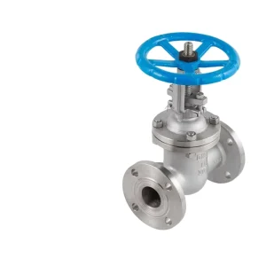 304 316 Stainless Steel Flange Gate Valve for Water Manual Operation Rising Stem Heavy Duty Normal Temperature DN15 DN80