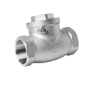 304 316 Stainless Steel NPT Threaded Spring and Swing Check Valve