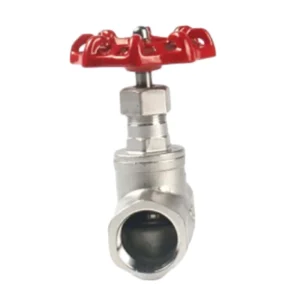 304/316 Stainless Steel Threaded Globe Valve J11W-16P Anti-Corrosion